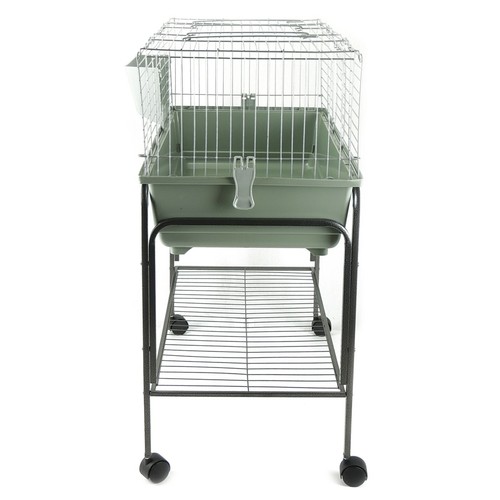 Indoor rabbit guinea pig - rabbit, cage