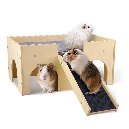 Guinea pig house - guinea,