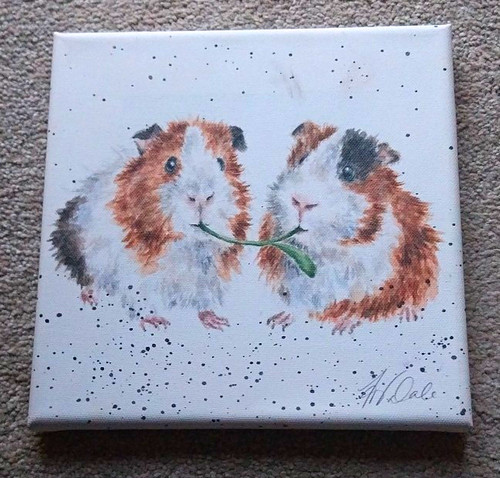 Dale signed guinea pig - h.,