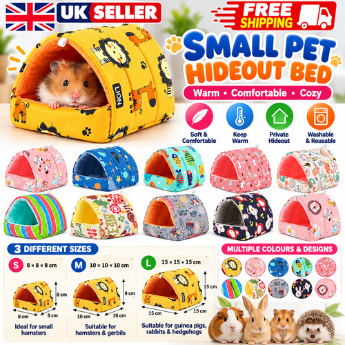 Winter guinea pig nest hamster - guinea,