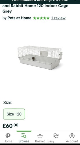 Pets home guinea - home,