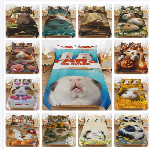 Guinea pig theme - pig,