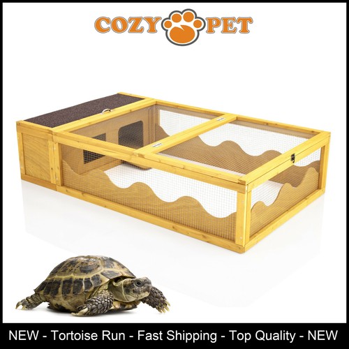 Tortoise run cozy - by,