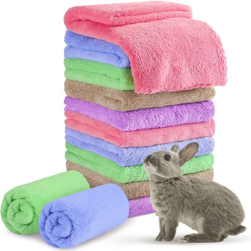 Tatuo pack guinea pig - tatuo,