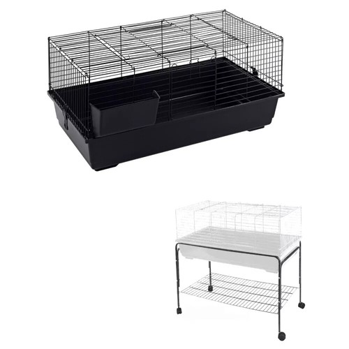 Rabbit guinea pig bunny indoor - rabbit,