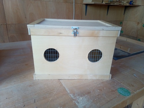 Single rabbit guinea pig - rabbit/guinea,