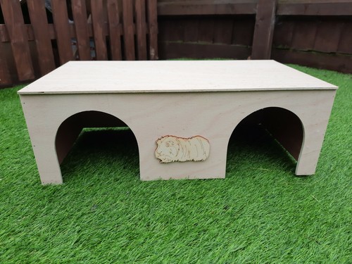 Guinea pig and out - guinea,