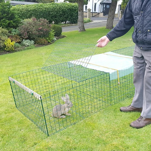 Rabbit run folding guinea - folding,