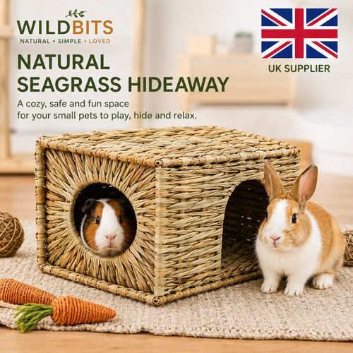 Natural seagrass guinea pig - seagrass,