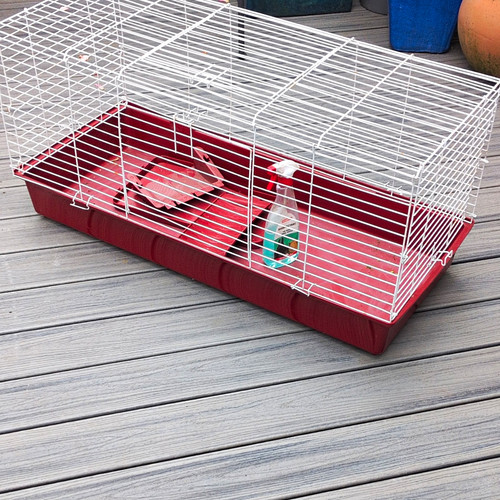 Small animal steel - animal,