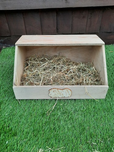 Guinea pig forage haybarn - forage/,