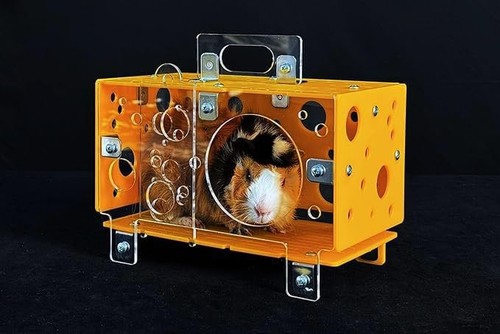 Guinea pig cheese house - pig, house,