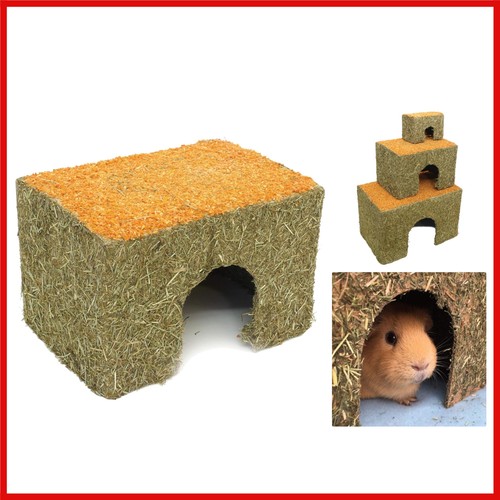 Pet friendly edible carrot - pet-friendly,