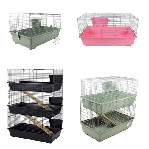 Rabbit guinea pig small animal - rabbit,