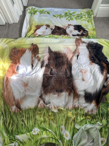 Guinea pig single duvet - duvet, cover