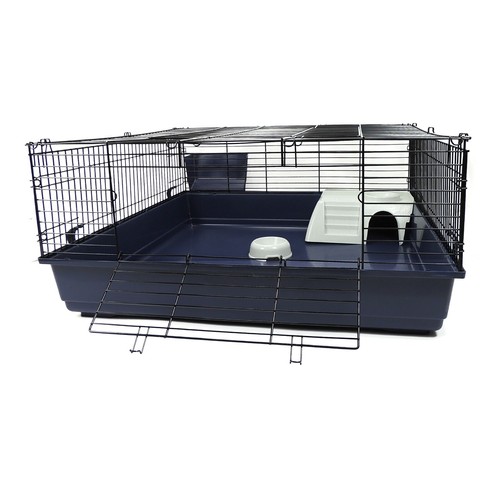 Rabbit guinea pig large indoor - pig,