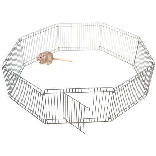 Small pet animal - animal, metal