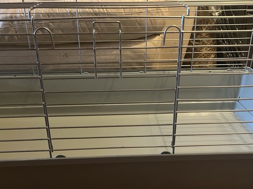 Rabbit guinea pig cage - rabbit,